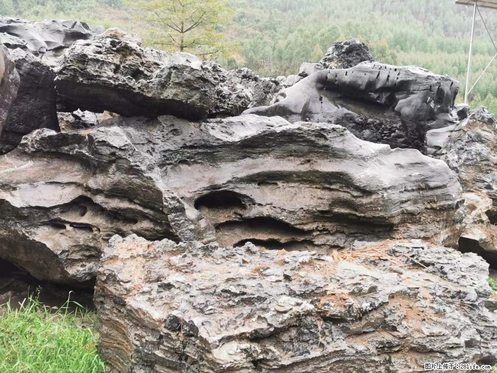 风景石、假山石大量有货,有需要的欢迎联系 - 新手上路 - 鞍山生活社区 - 鞍山28生活网 as.28life.net