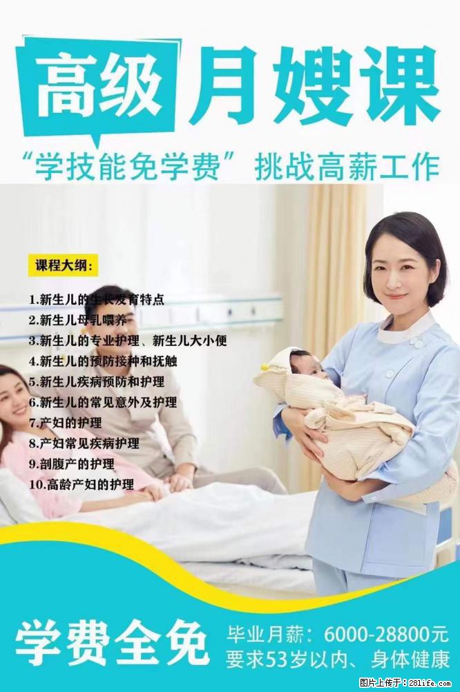 为什么要学习月嫂，育婴师？ - 其他广告 - 广告专区 - 鞍山分类信息 - 鞍山28生活网 as.28life.net