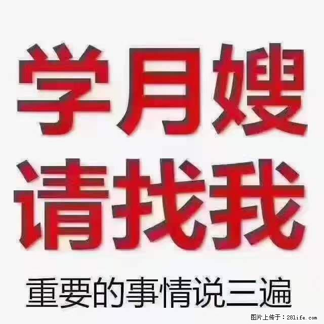 为什么要学习月嫂，育婴师？ - 新手上路 - 鞍山生活社区 - 鞍山28生活网 as.28life.net