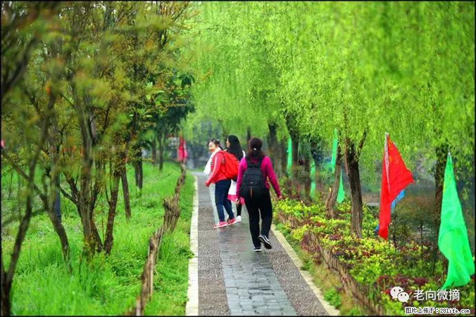 【春天，广西桂林灌阳县向您发出邀请！】江口老街又逢春 - 游山玩水 - 鞍山生活社区 - 鞍山28生活网 as.28life.net