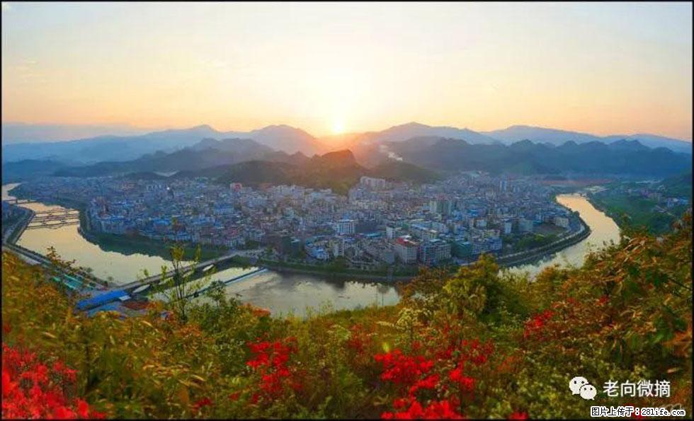 【春天，广西桂林灌阳县向您发出邀请！】登麒麟山，相约映山红 - 游山玩水 - 鞍山生活社区 - 鞍山28生活网 as.28life.net