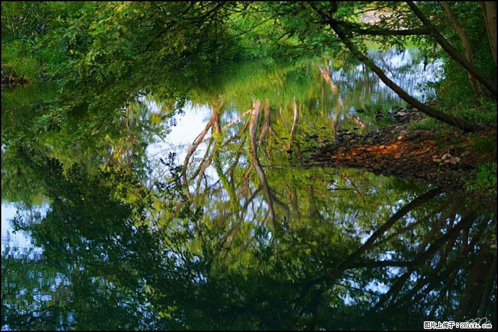【春天，广西桂林灌阳县向您发出邀请！】熊家寨湿地公园 - 游山玩水 - 鞍山生活社区 - 鞍山28生活网 as.28life.net