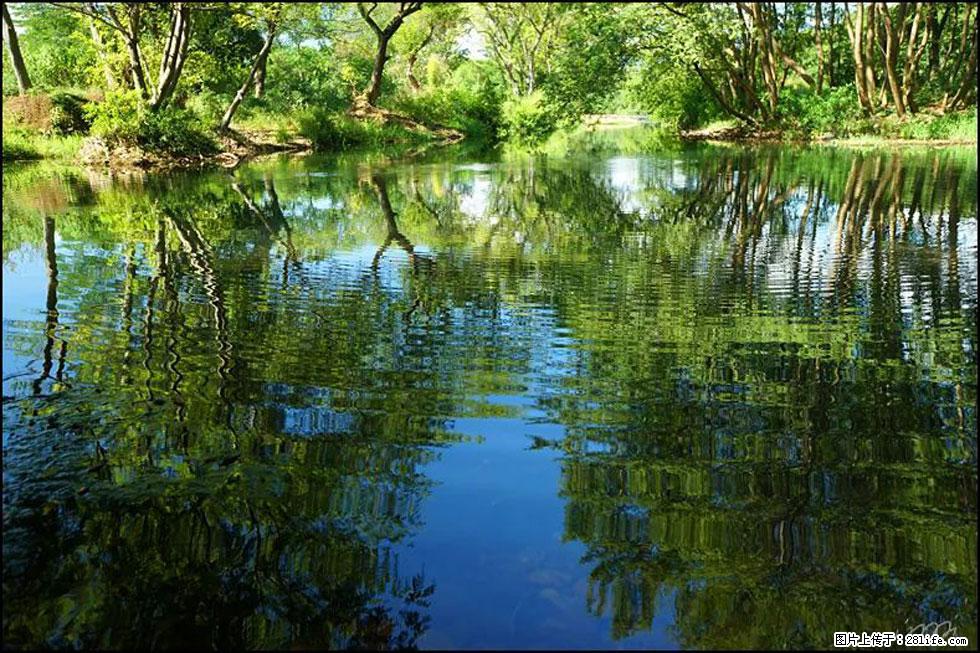 【春天，广西桂林灌阳县向您发出邀请！】熊家寨湿地公园 - 游山玩水 - 鞍山生活社区 - 鞍山28生活网 as.28life.net