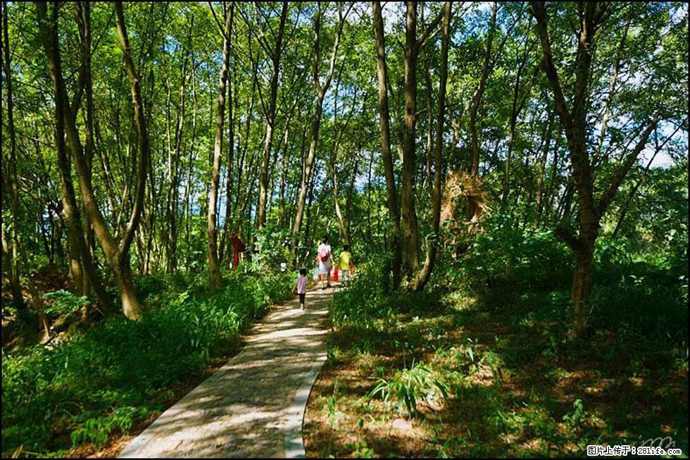 【春天，广西桂林灌阳县向您发出邀请！】熊家寨湿地公园 - 游山玩水 - 鞍山生活社区 - 鞍山28生活网 as.28life.net