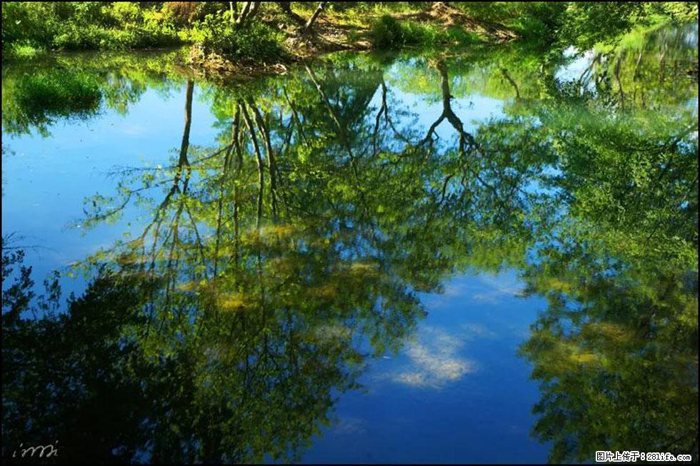 【春天，广西桂林灌阳县向您发出邀请！】熊家寨湿地公园 - 游山玩水 - 鞍山生活社区 - 鞍山28生活网 as.28life.net
