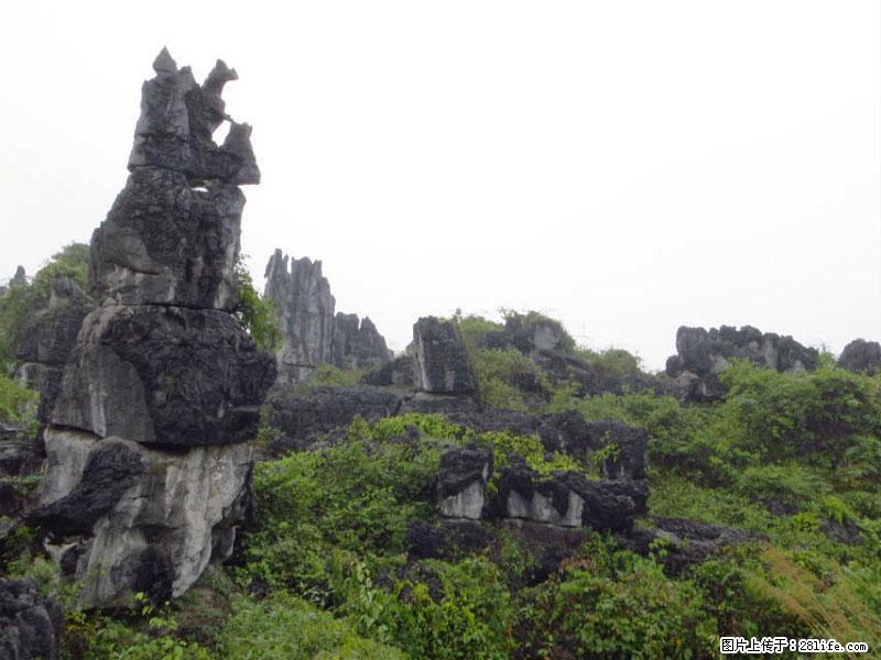 桂林旅游名城景点：灌阳文市石林 - 游山玩水 - 鞍山生活社区 - 鞍山28生活网 as.28life.net