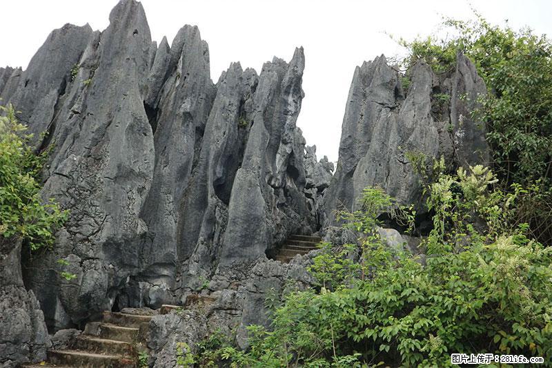 桂林旅游名城景点：灌阳文市石林 - 游山玩水 - 鞍山生活社区 - 鞍山28生活网 as.28life.net