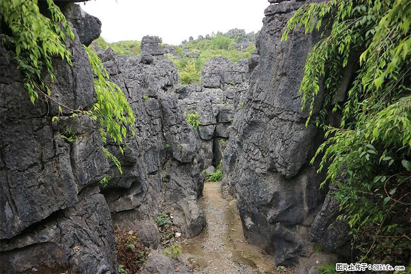 桂林旅游名城景点：灌阳文市石林 - 游山玩水 - 鞍山生活社区 - 鞍山28生活网 as.28life.net