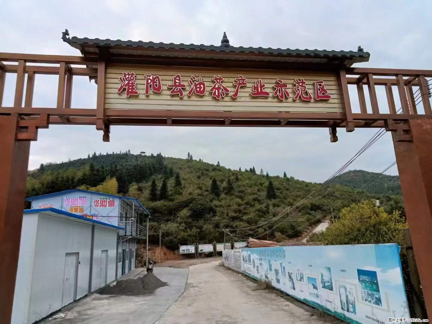 【灌阳县油茶产业示范区】一个有着充实的精神生活的人，对待身外之物自会有一种淡泊的态度 - 美食天地 - 鞍山生活社区 - 鞍山28生活网 as.28life.net