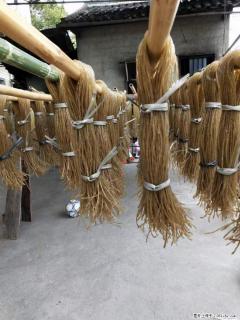 【灌阳正宗红薯粉】美女家里自己做的，干净卫生，假一赔十，价格合理，抢购电话：13737312895 - 鞍山28生活网 as.28life.net