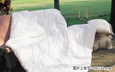 被子有异味?只要这样做,比晒太阳还强100倍! - 家居生活 - 鞍山生活社区 - 鞍山28生活网 as.28life.net