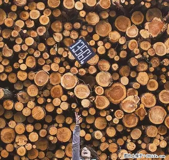 辞掉工作周游世界？现在他们在洗厕所…… - 游山玩水 - 鞍山生活社区 - 鞍山28生活网 as.28life.net