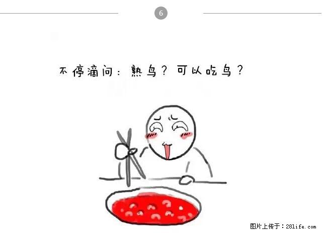千万不要和这9种哈卵一起吃火锅！ - 美食天地 - 鞍山生活社区 - 鞍山28生活网 as.28life.net