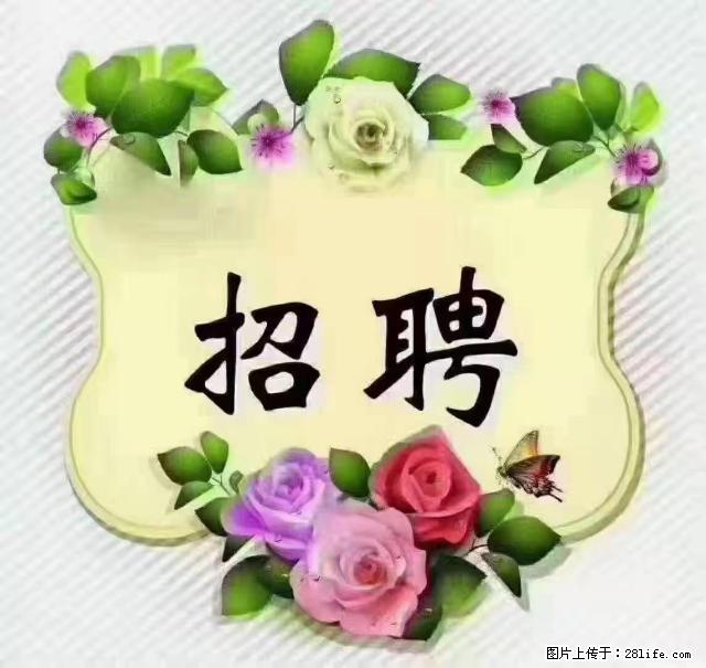 【招聘】住家育儿嫂,上户日期:4月4日,工作地址:上海 黄浦区 - 职场交流 - 鞍山生活社区 - 鞍山28生活网 as.28life.net