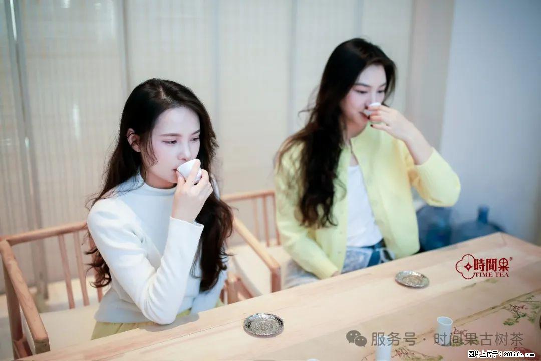 时间果百年古树龙珠普洱生茶 - 购物交流 - 鞍山生活社区 - 鞍山28生活网 as.28life.net