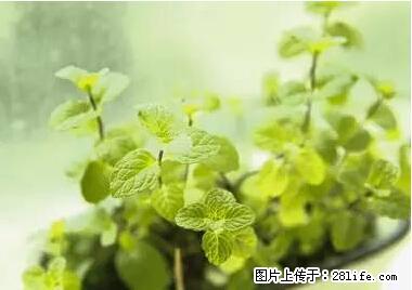 晕车、脚气、牙齿变黄、皮肤粗糙？学会这些三分钟搞定！ - 鞍山生活资讯 - 鞍山28生活网 as.28life.net
