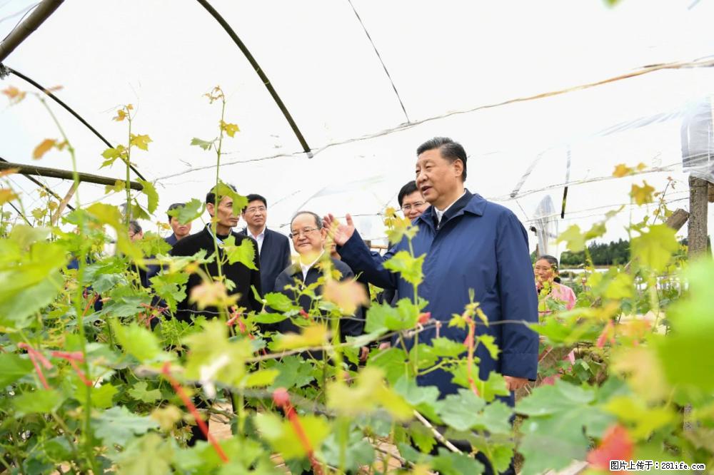 习近平赴广西考察调研 - 鞍山生活资讯 - 鞍山28生活网 as.28life.net