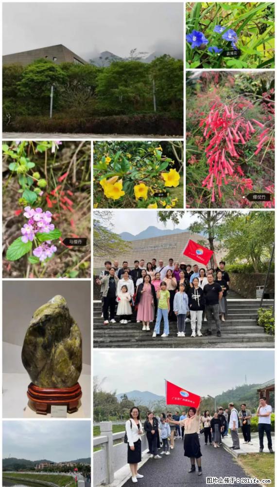 “粤灌文化 美好生活”油茶文化主题活动在广东深圳成功举办 - 鞍山生活资讯 - 鞍山28生活网 as.28life.net