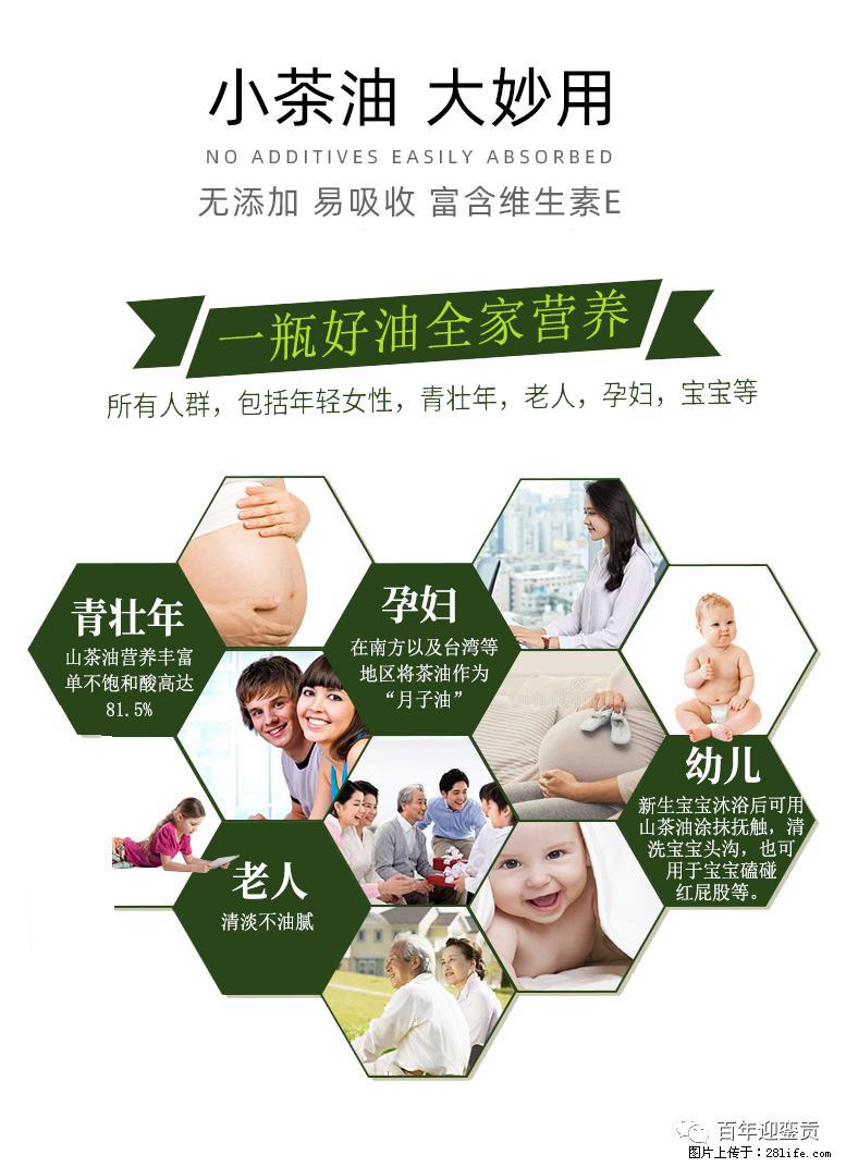 世界没有真相，只有认知，最好的食用油是中国的山茶油！ - 鞍山生活资讯 - 鞍山28生活网 as.28life.net