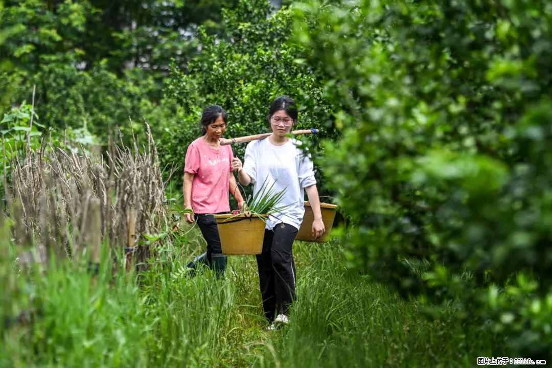 全网追的“扁担女孩”，找了一份暑假工，时薪12元 - 鞍山生活资讯 - 鞍山28生活网 as.28life.net
