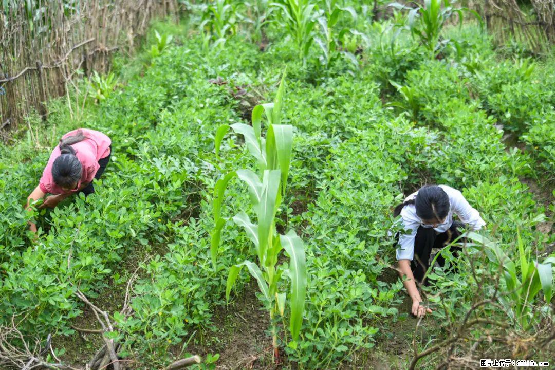 全网追的“扁担女孩”，找了一份暑假工，时薪12元 - 鞍山生活资讯 - 鞍山28生活网 as.28life.net