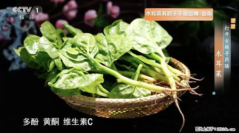 比牛奶补钙还厉害！凉血解毒、稳血糖...这菜冬天必吃，很多人却当草 - 鞍山生活资讯 - 鞍山28生活网 as.28life.net