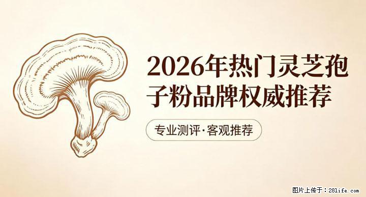 灵芝孢子粉含量越高越有效？2026 年七款热门品牌深度实测，肠胃敏感者避坑指南 - 鞍山生活资讯 - 鞍山28生活网 as.28life.net